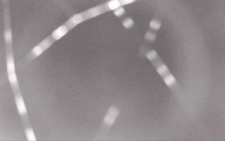 Ski Areál Opálená