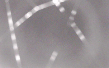 Snímek    30.10.2025 v 01:29