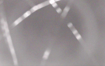 Snímek    30.10.2025 v 02:57