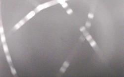 Ski Areál Opálená