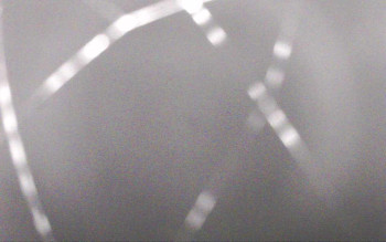 Snímek    30.10.2025 v 04:41