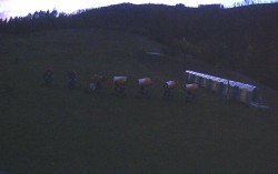 Ski Areál Opálená