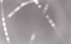 Ski Areál Opálená