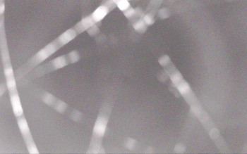 Snímek    31.10.2025 v 20:57