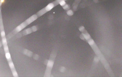 Ski Areál Opálená