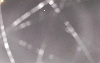 Snímek    31.10.2025 v 22:41