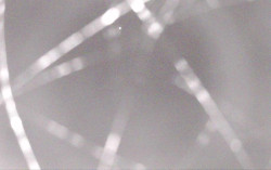 Ski Areál Opálená