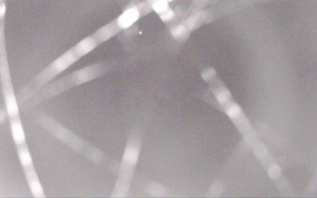 Snímek    1.11.2025 v 02:29