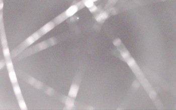 Snímek    1.11.2025 v 02:41