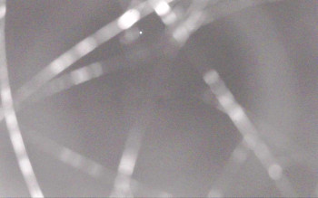 Snímek    1.11.2025 v 03:13