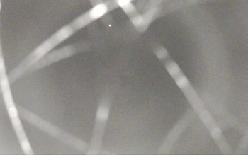 Snímek    1.11.2025 v 04:41