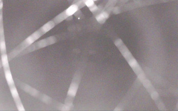 Snímek    1.11.2025 v 05:41