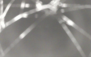 Snímek    2.11.2025 v 21:41