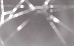 Ski Areál Opálená