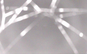 Snímek    2.11.2025 v 23:29