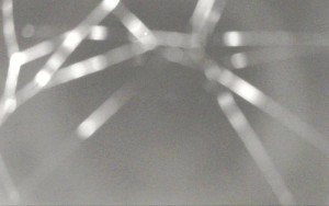 Ski Areál Opálená - Ski Areál Opálená - 3.11.2025 v 00:29 Ski Areál Opálená - Ski Areál Opálená - 3.11.2025 v 00:29