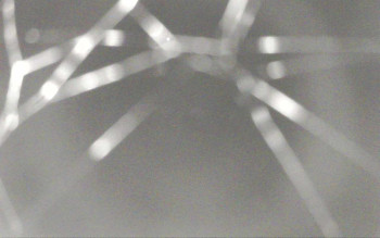 Snímek    3.11.2025 v 00:29