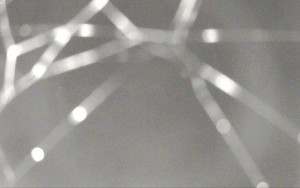 Ski Areál Opálená - Ski Areál Opálená - 3.11.2025 v 01:41 Ski Areál Opálená - Ski Areál Opálená - 3.11.2025 v 01:41