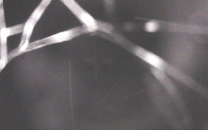 Ski Areál Opálená - Ski Areál Opálená - 3.11.2025 v 02:13 Ski Areál Opálená - Ski Areál Opálená - 3.11.2025 v 02:13