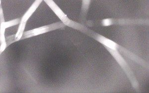 Ski Areál Opálená - Ski Areál Opálená - 3.11.2025 v 02:29 Ski Areál Opálená - Ski Areál Opálená - 3.11.2025 v 02:29