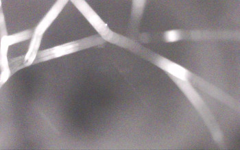 Snímek    3.11.2025 v 02:29