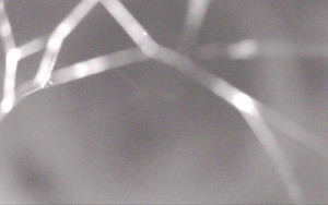 Ski Areál Opálená - Ski Areál Opálená - 3.11.2025 v 05:29 Ski Areál Opálená - Ski Areál Opálená - 3.11.2025 v 05:29