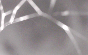 Snímek    3.11.2025 v 05:29