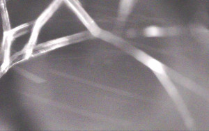 Ski Areál Opálená - Ski Areál Opálená - 3.11.2025 v 05:41 Ski Areál Opálená - Ski Areál Opálená - 3.11.2025 v 05:41