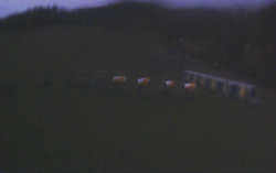 Ski Areál Opálená