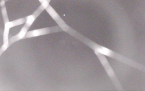 Ski Areál Opálená - Ski Areál Opálená - 3.11.2025 v 19:13 Ski Areál Opálená - Ski Areál Opálená - 3.11.2025 v 19:13