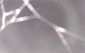 Snímek    3.11.2025 v 19:13