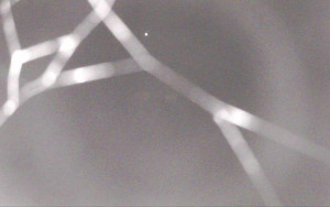 Ski Areál Opálená - Ski Areál Opálená - 3.11.2025 v 19:57 Ski Areál Opálená - Ski Areál Opálená - 3.11.2025 v 19:57