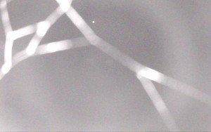 Ski Areál Opálená - Ski Areál Opálená - 3.11.2025 v 22:13 Ski Areál Opálená - Ski Areál Opálená - 3.11.2025 v 22:13