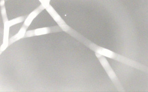 Ski Areál Opálená - Ski Areál Opálená - 3.11.2025 v 23:41 Ski Areál Opálená - Ski Areál Opálená - 3.11.2025 v 23:41