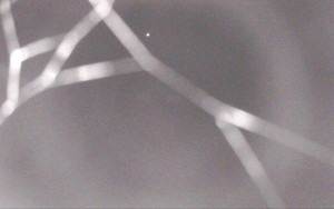 Ski Areál Opálená - Ski Areál Opálená - 4.11.2025 v 00:29 Ski Areál Opálená - Ski Areál Opálená - 4.11.2025 v 00:29