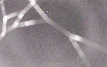 Snímek    4.11.2025 v 00:29