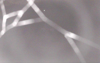 Snímek    4.11.2025 v 00:41