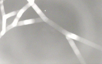 Snímek    4.11.2025 v 04:57