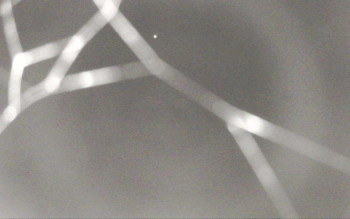 Snímek 5.11.2025 v 00:57