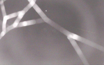 Snímek 5.11.2025 v 01:29