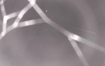 Snímek 5.11.2025 v 01:57