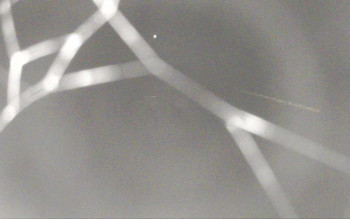 Snímek 5.11.2025 v 02:13