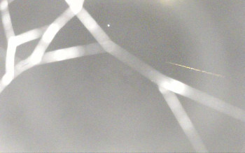 Snímek 5.11.2025 v 03:57