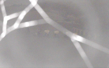 Snímek 5.11.2025 v 05:57