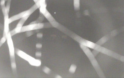 Ski Areál Opálená