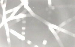 Ski Areál Opálená