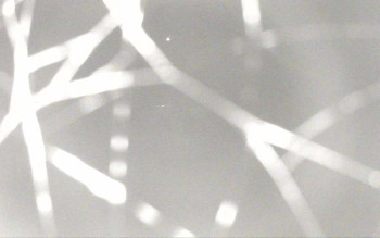 Snímek 6.11.2025 v 00:41