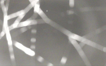 Snímek 6.11.2025 v 02:13