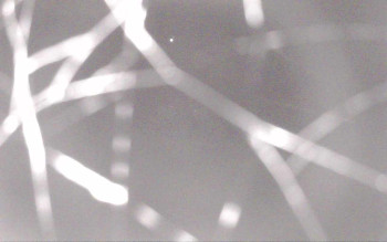 Snímek 6.11.2025 v 03:06