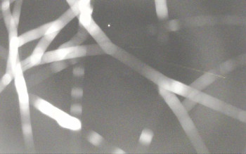 Snímek 6.11.2025 v 03:41